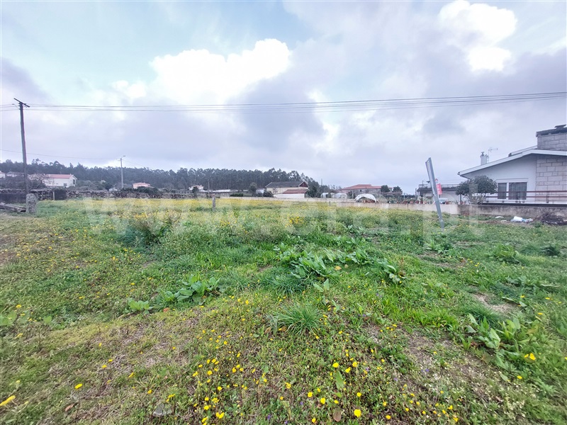 Lote  Barcelos, Sequeade e Bastuço (São João e Santo Estevão) - 1460157 - 2