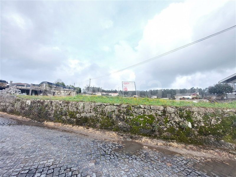 Lote  Barcelos, Sequeade e Bastuço (São João e Santo Estevão) - 1460157 - 5