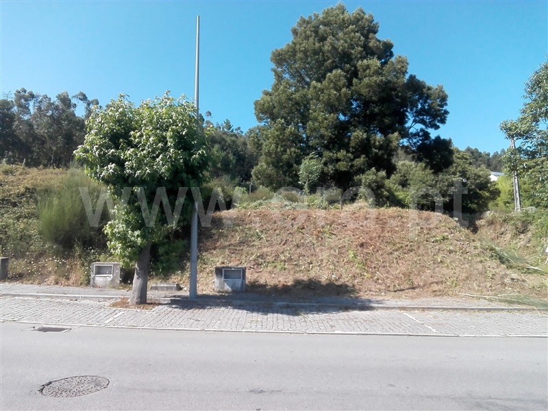 Lote / Barcelos, Viatodos, Grimancelos, Minhotães e Monte de Fralães