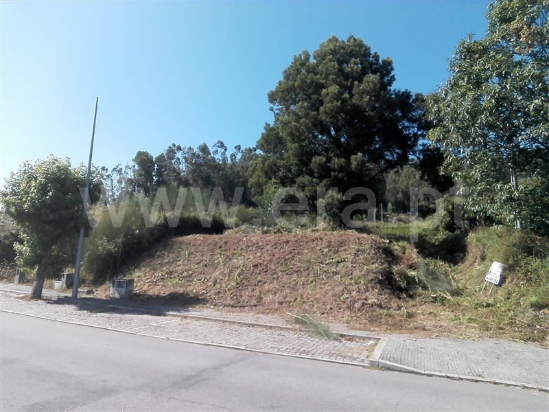 Lote  Barcelos, Viatodos, Grimancelos, Minhotães e Monte de Fralães - 1136747 - 2