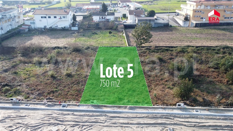 Lote / Barcelos, Viatodos, Grimancelos, Minhotães e Monte de Fralães