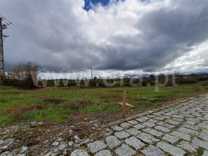 Lote / Belmonte, Caria