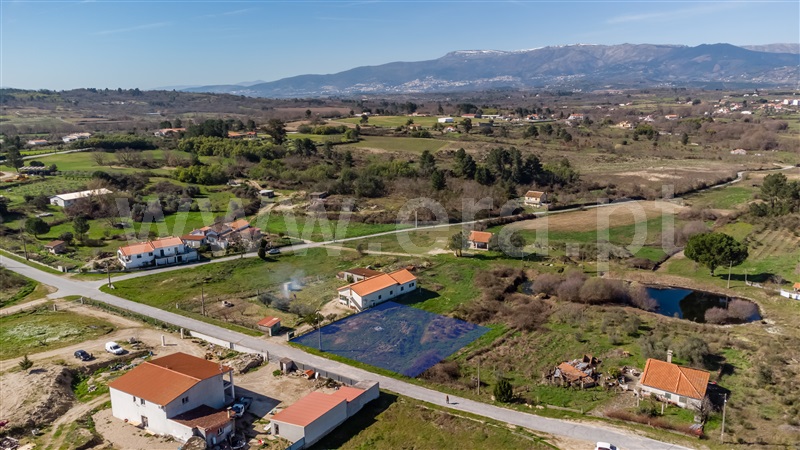 Lote / Belmonte, Caria