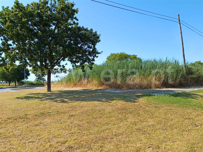 Lote  Benavente - 1487932 - 4