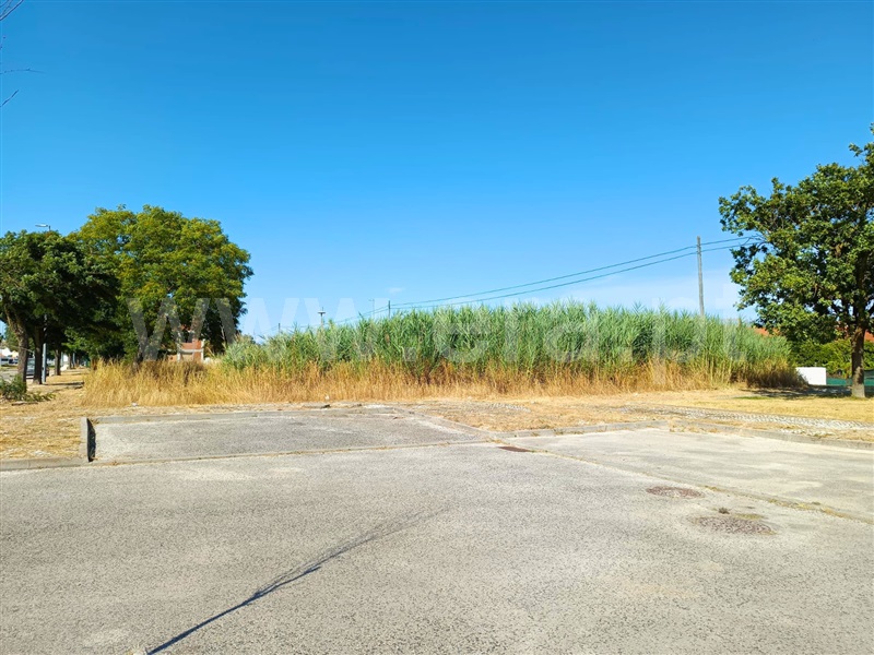 Lote  Benavente - 1487932 - 5