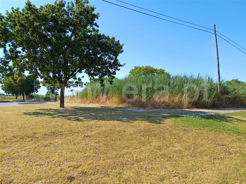 Lote  Benavente - 1487934 - 4
