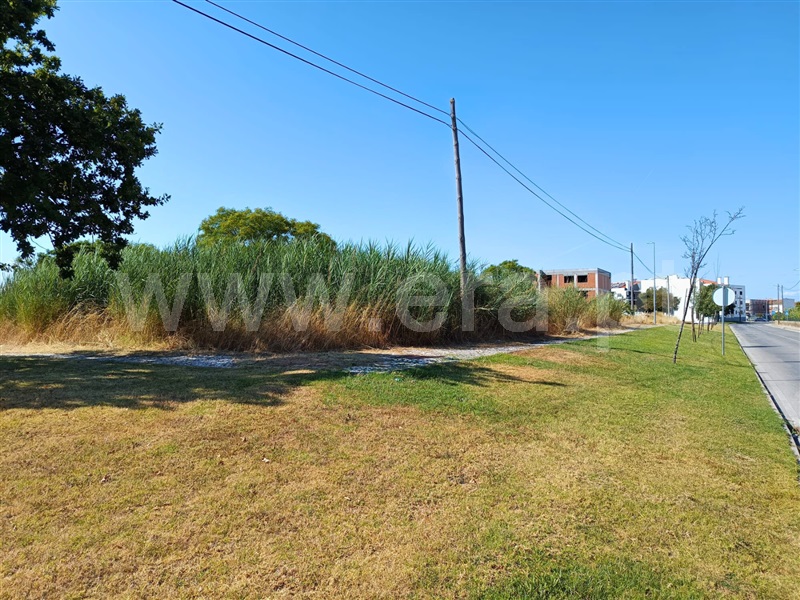Lote  Benavente - 1487934 - 5