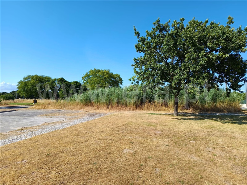 Lote  Benavente - 1487934 - 6