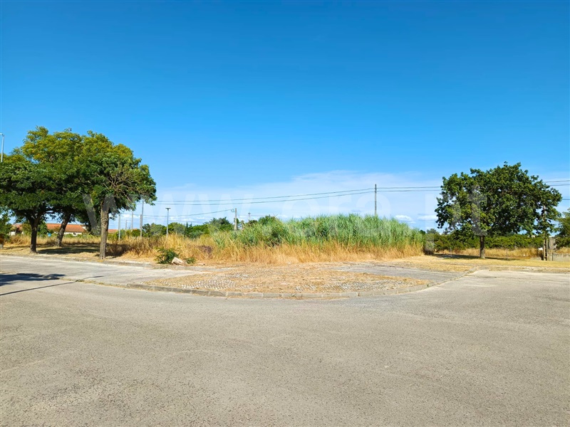 Lote  Benavente - 1487934 - 7