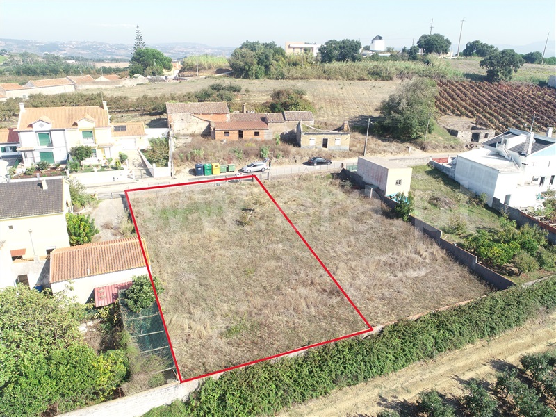 Lote / Bombarral, Roliça