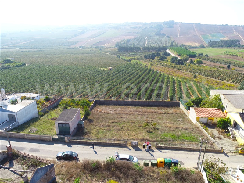 Lote  Bombarral, Roliça - 1511040 - 2