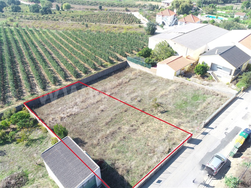 Lote / Bombarral, Roliça