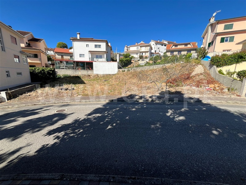 Lote / Boticas, Boticas e Granja