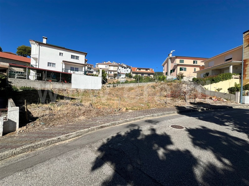Lote  Boticas, Boticas e Granja - 1426248 - 5