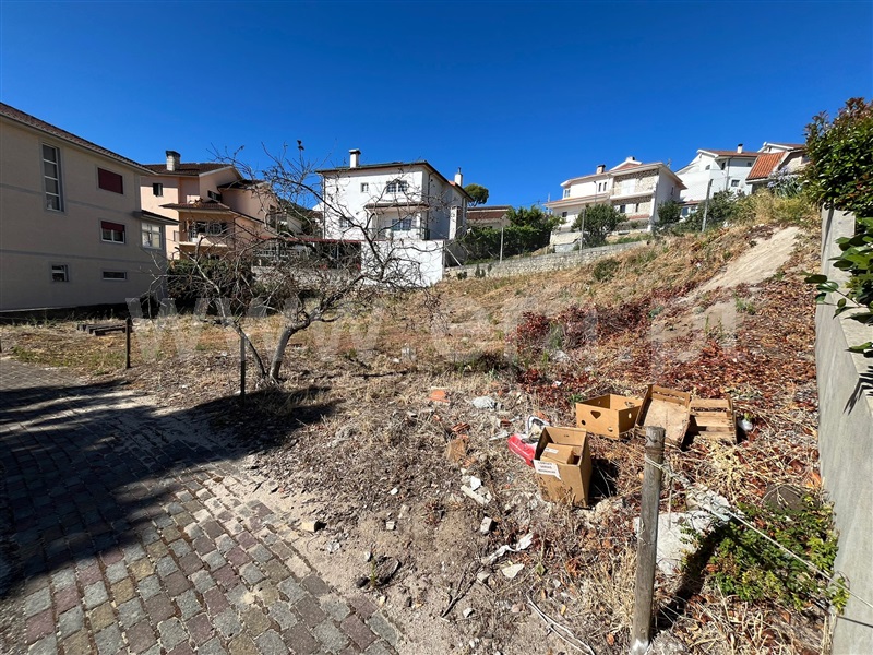 Lote  Boticas, Boticas e Granja - 1426248 - 7
