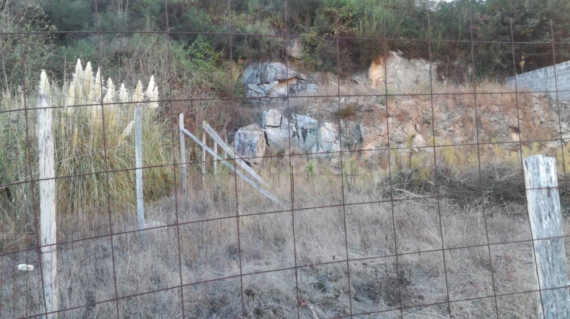 Land in Braga
