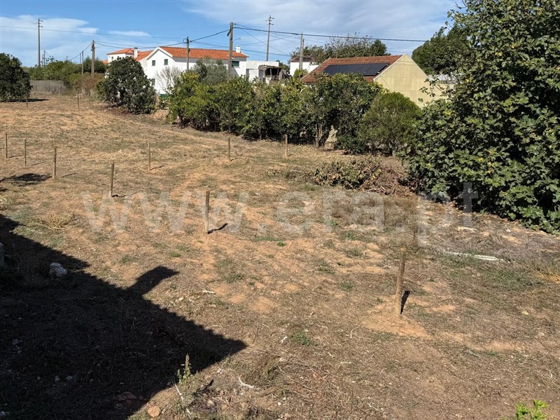 Lote / Cadaval, Dagorda