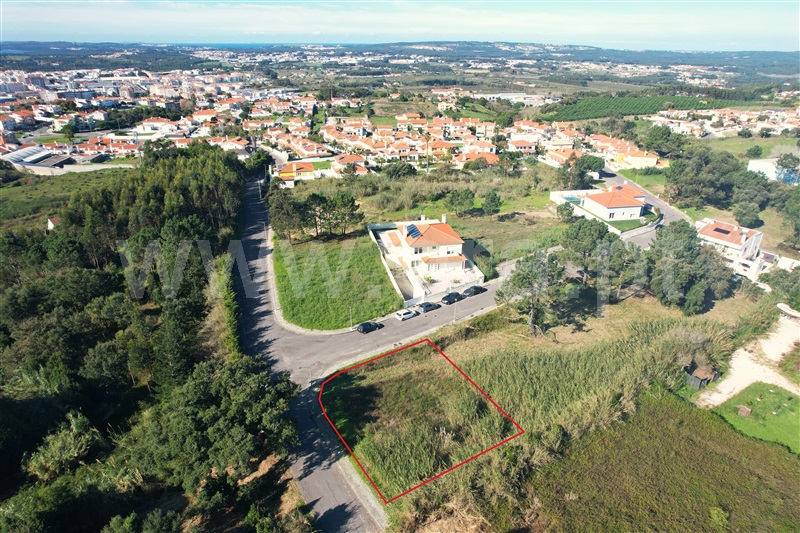 Lote / Caldas da Rainha, Caldas da Rainha