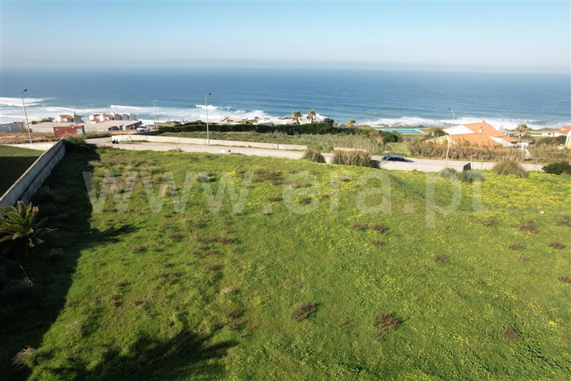 Lote / Caldas da Rainha, Foz do Arelho