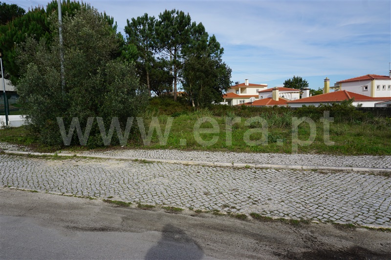 Lote / Caldas da Rainha, Nadadouro