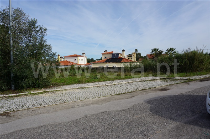Lote  Caldas da Rainha, Nadadouro - 1372406 - 2