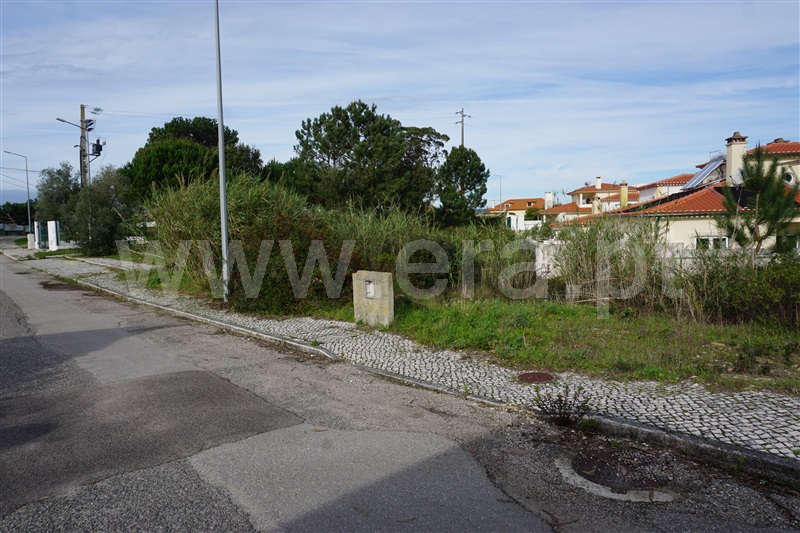 Lote  Caldas da Rainha, Nadadouro - 1372406 - 4
