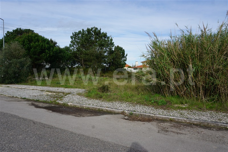 Lote  Caldas da Rainha, Nadadouro - 1372406 - 5