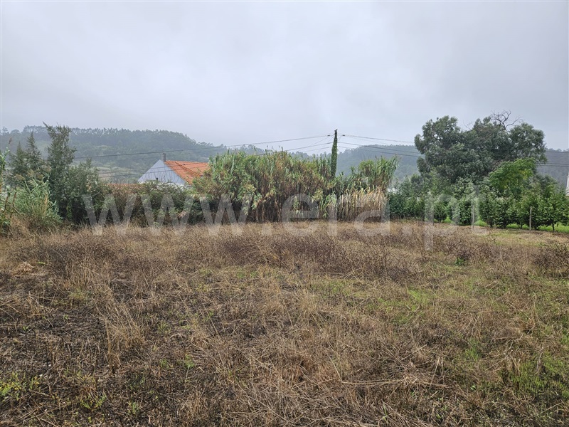 Lote  Caldas da Rainha, Santa Catarina - 1435027 - 4