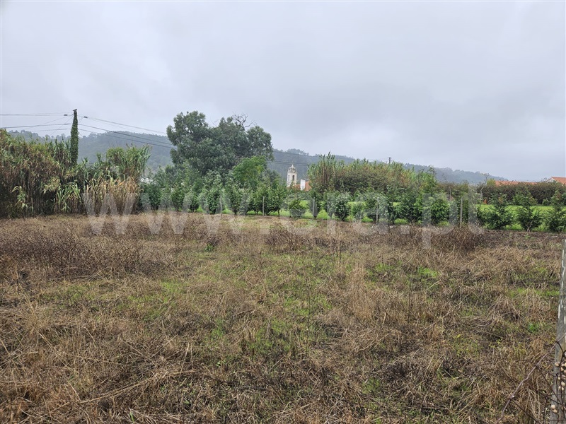 Lote  Caldas da Rainha, Santa Catarina - 1435027 - 5