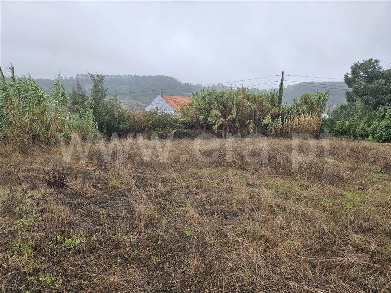 Lote  Caldas da Rainha, Santa Catarina - 1435027 - 6