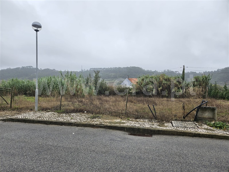 Lote  Caldas da Rainha, Santa Catarina - 1435028 - 2