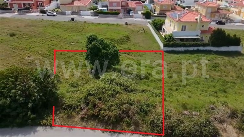 Lote / Caldas da Rainha, Tornada