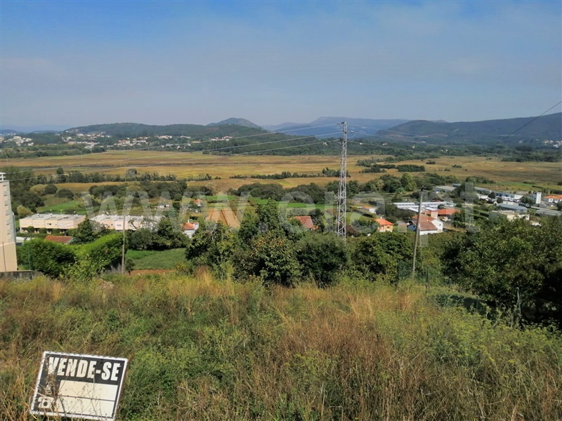 Lote  Caminha, Caminha (Matriz) e Vilarelho - 1117271 - 11