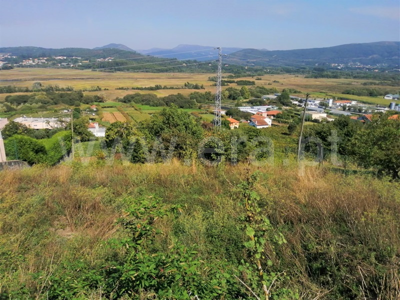 Lote  Caminha, Caminha (Matriz) e Vilarelho - 1117271 - 12