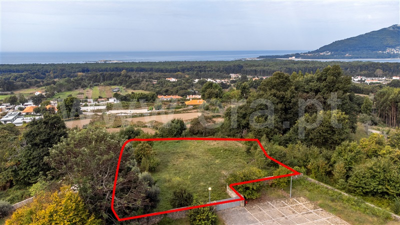 Lote / Caminha, Moledo e Cristelo