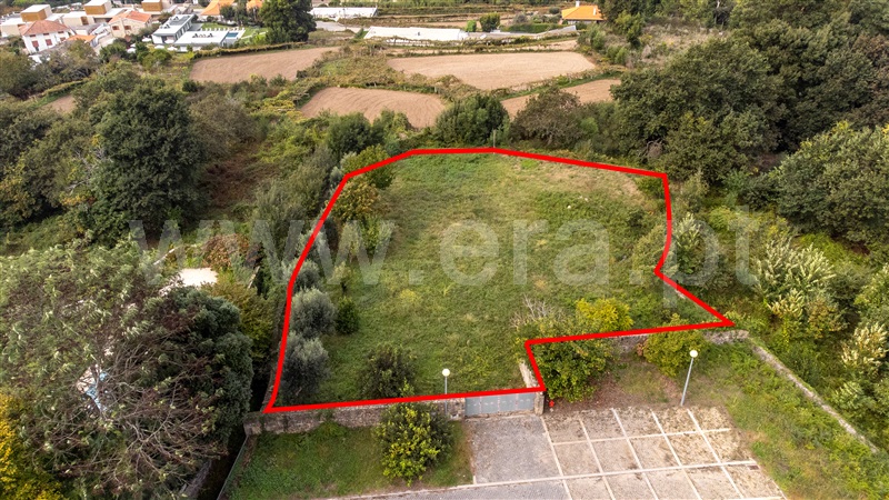 Lote  Caminha, Moledo e Cristelo - 1359172 - 2