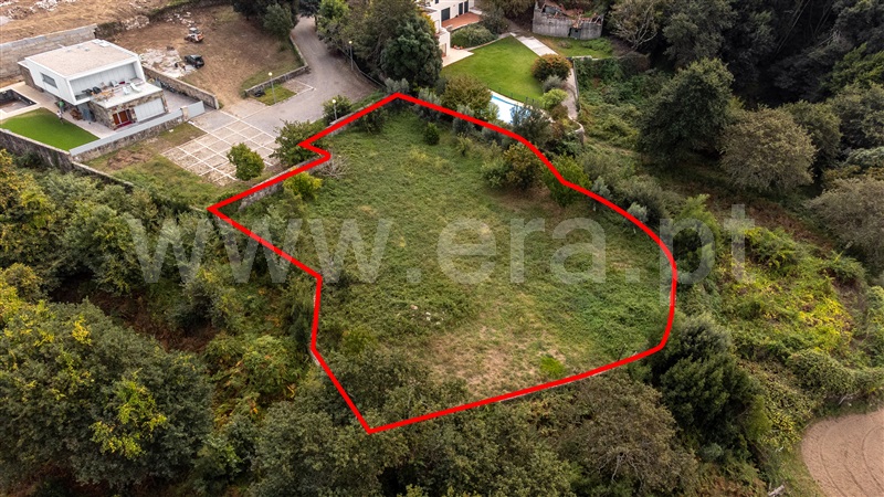 Lote  Caminha, Moledo e Cristelo - 1359172 - 4