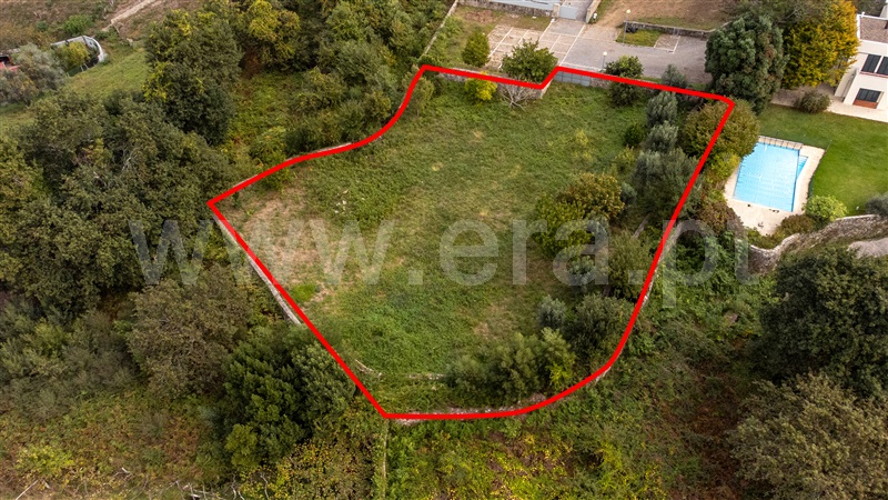 Lote  Caminha, Moledo e Cristelo - 1359172 - 6