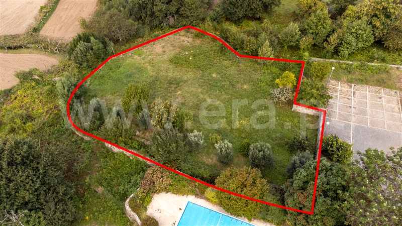 Lote  Caminha, Moledo e Cristelo - 1359172 - 7