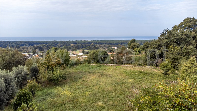 Lote  Caminha, Moledo e Cristelo - 1359172 - 9