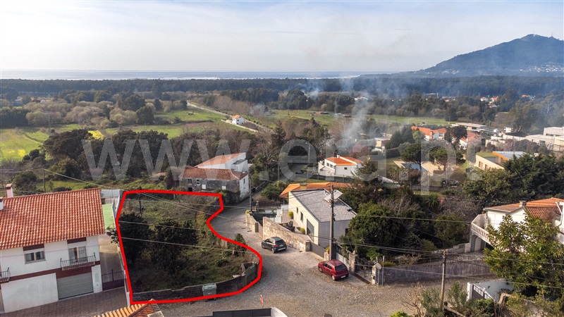 Lote / Caminha, Moledo e Cristelo