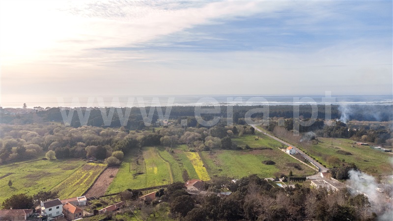 Lote  Caminha, Moledo e Cristelo - 1386763 - 10
