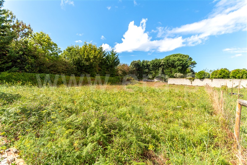 Lote  Caminha, Riba de Âncora - 1112246 - 18
