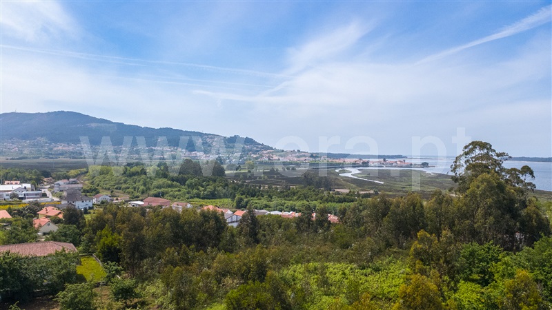 Lote / Caminha, Seixas