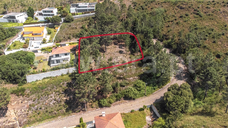 Lote / Caminha, Venade e Azevedo