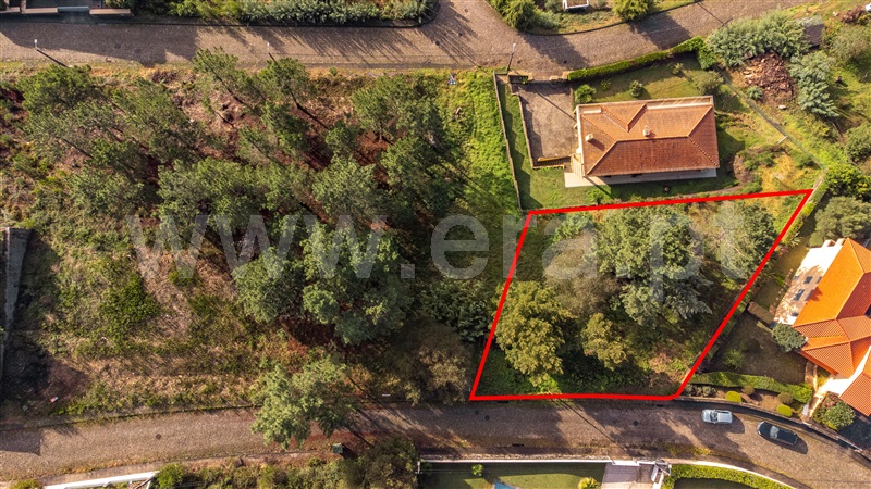 Lote  com Urbano Caminha, Venade e Azevedo - 1363419 - 1