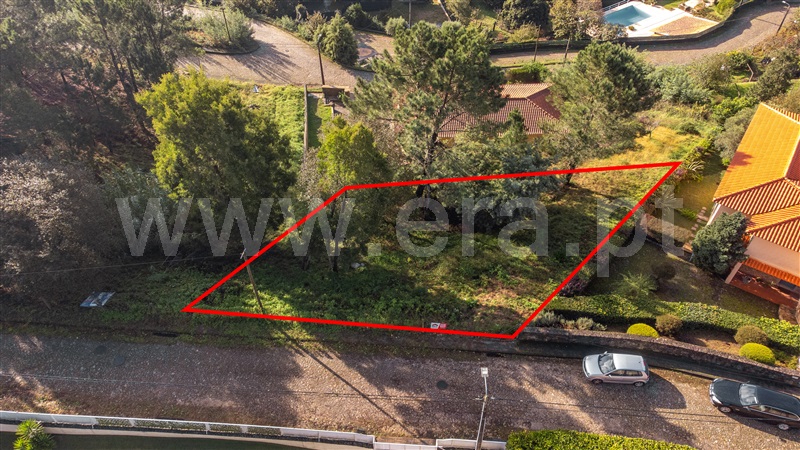 Lote  com Urbano Caminha, Venade e Azevedo - 1363419 - 2