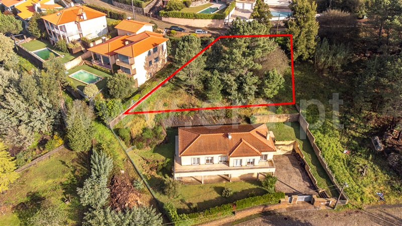 Lote / Caminha, Venade e Azevedo