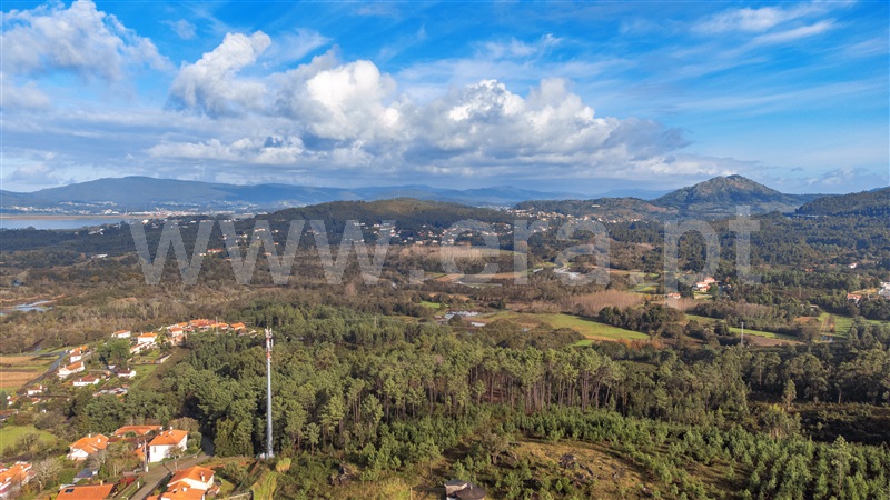 Lote  com Urbano Caminha, Venade e Azevedo - 1363419 - 11
