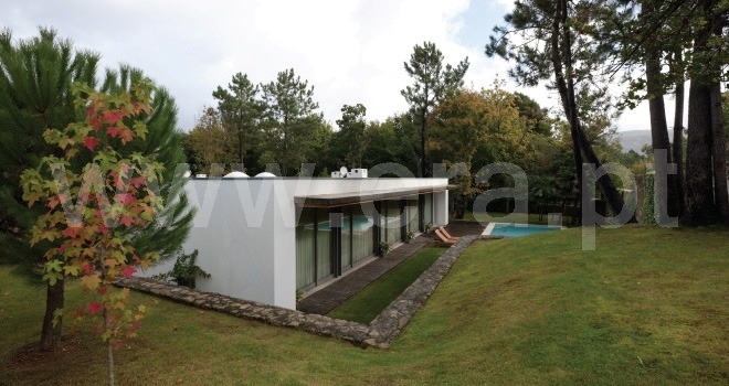 Lote  Caminha, Venade e Azevedo - 1460626 - 4